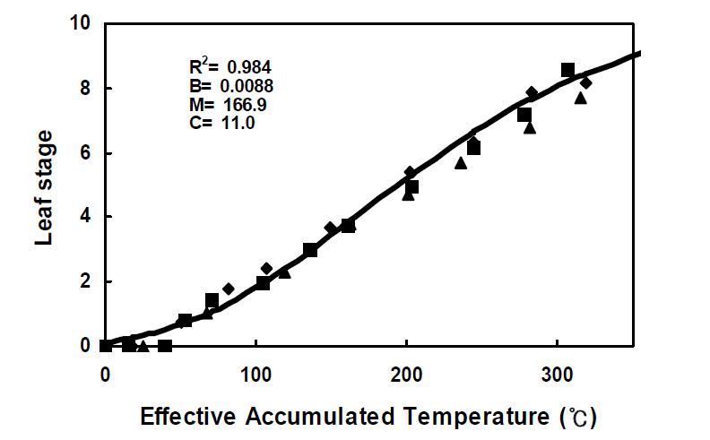 이식시기 조절에 의한 온도상승 조건에서 유효적산온도에 따른 벗풀의 엽령 변화(5월 7일 (■), 17일 (◆), 27일 (▲)) 및 Logistic 모델에 의한 예측(▬).