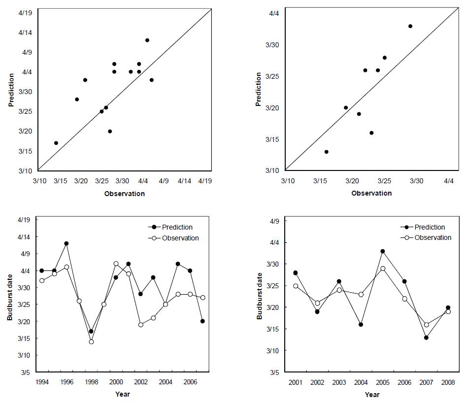 Comparison of the observed floral budburst dates with those predicted by the dormancy clock model adjusted with parameters TC=5.8℃, Cr= -104.4 derived from the phenology data of NIHHS orchards and synoptic temperature data at Suwon weather station in 1994-2007 (left), and with parameters TC=5.4℃, Cr=-86.4 derived from both phenology and temperature data at GARES orchards in 2001-2008 (right).