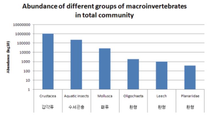 논 생태계에 출현한 저서성 대형 무척추동물의 주요 분류군별 출현도.