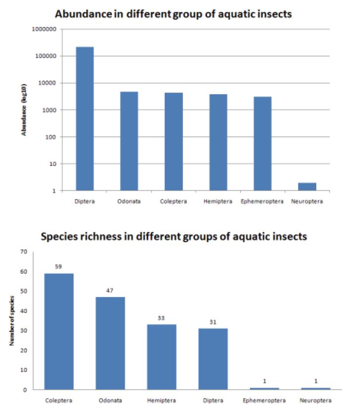 저서성대형무척추 동물 중 수서 곤충에 목에 따른 출현밀도(마리/m2)(위)와 종풍부도(아래).
