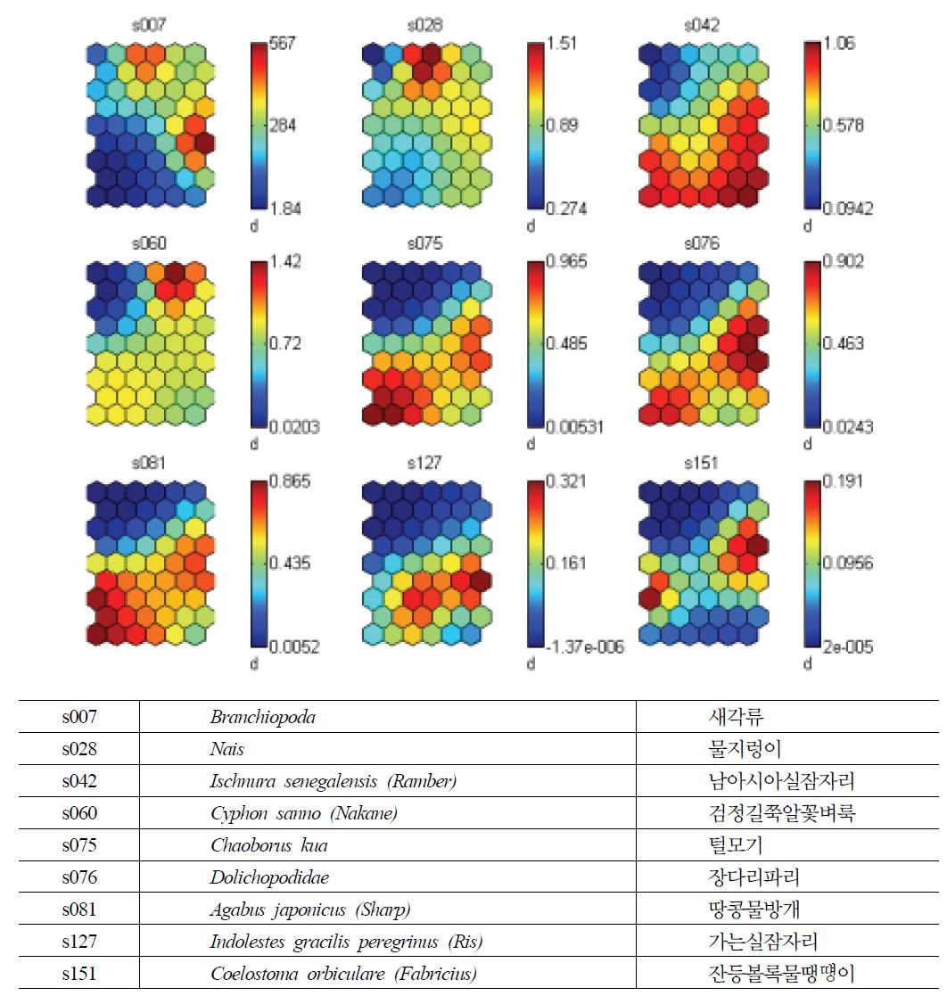 SOM의 넓은 범위에서 고른 분포를 보이는 종.