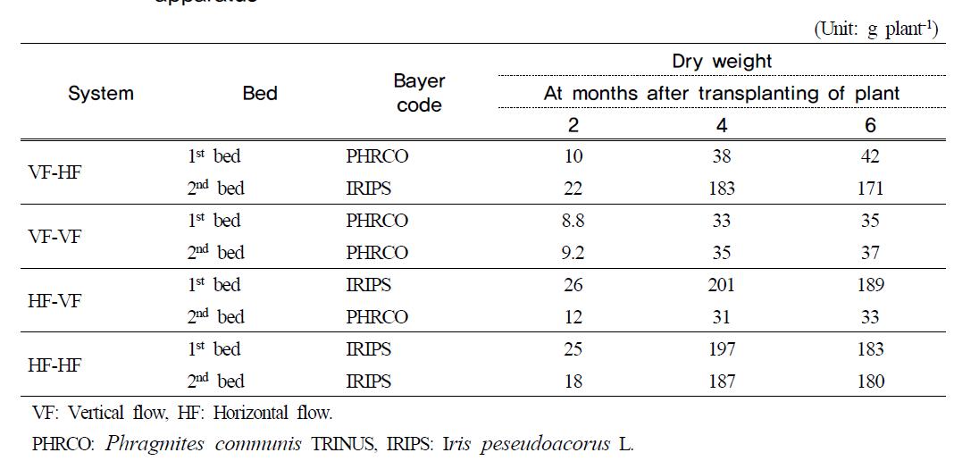 Dry weight of water plants in small-scale hydroponic wastewater treatment apparatus