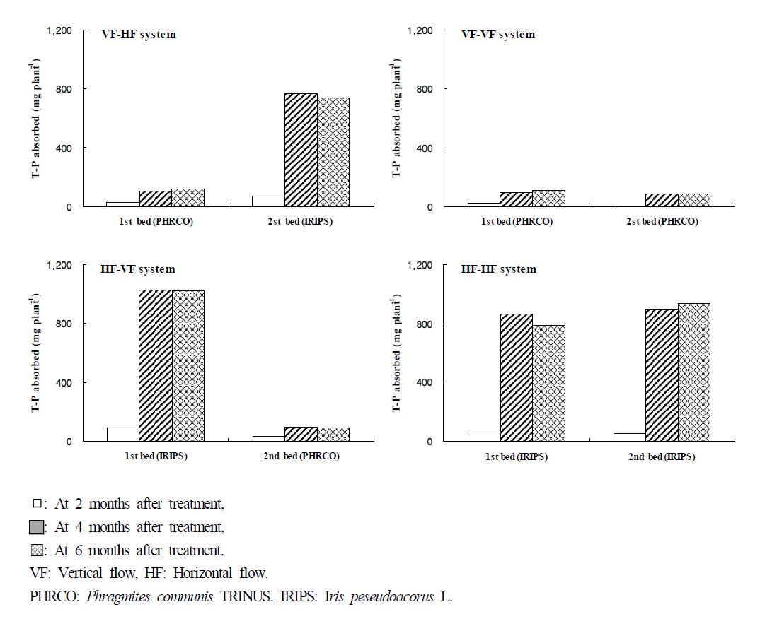 Amount of T-P absorbed by water plant at months after transplanting of plant in small-scale hydroponic wastewater treatment apparatus.