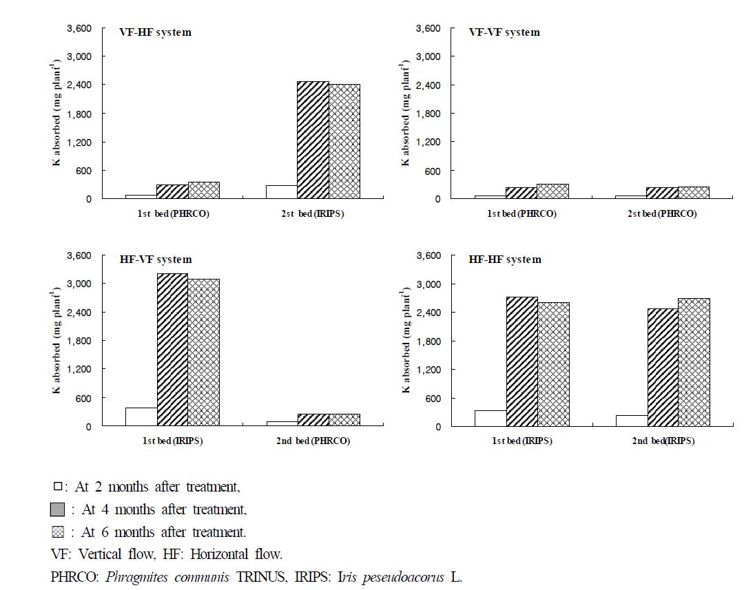 Amount of K absorbed by water plant at months after transplanting of plant in small-scale hydroponic wastewater treatment apparatus.