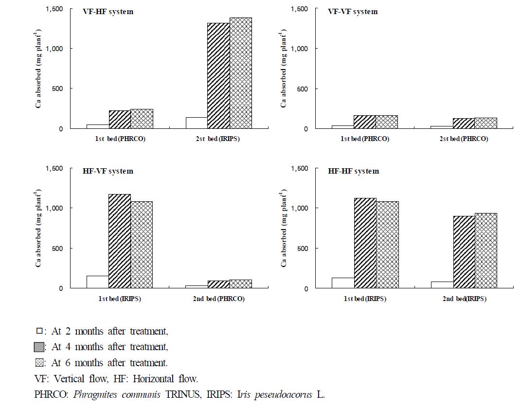 Amount of Ca absorbed by water plant at months after transplanting of plant in small-scale hydroponic wastewater treatment apparatus.