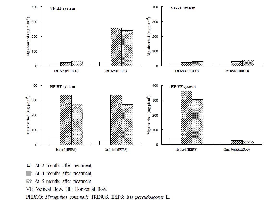 Amount of Mg absorbed by water plant at months after transplanting of plant in small-scale hydroponic wastewater treatment apparatus.