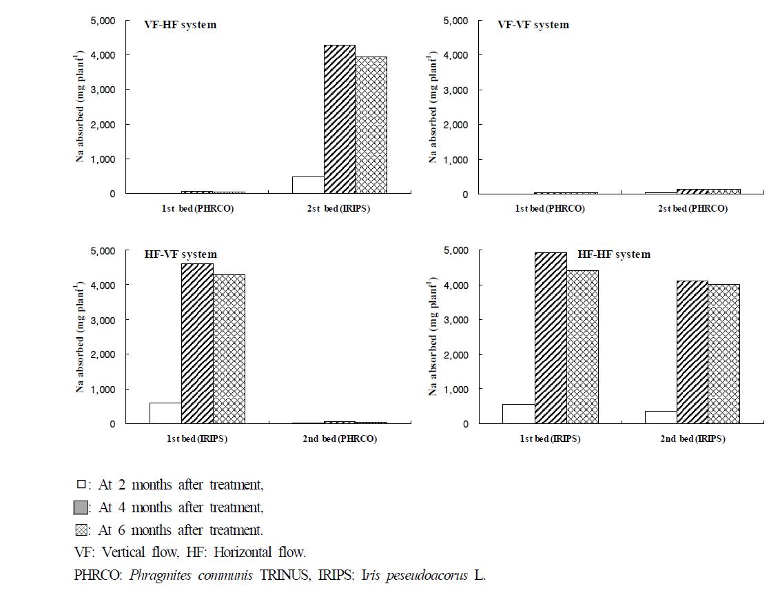 Amount of Na absorbed by water plant at months after transplanting of plant in small-scale hydroponic wastewater treatment apparatus.