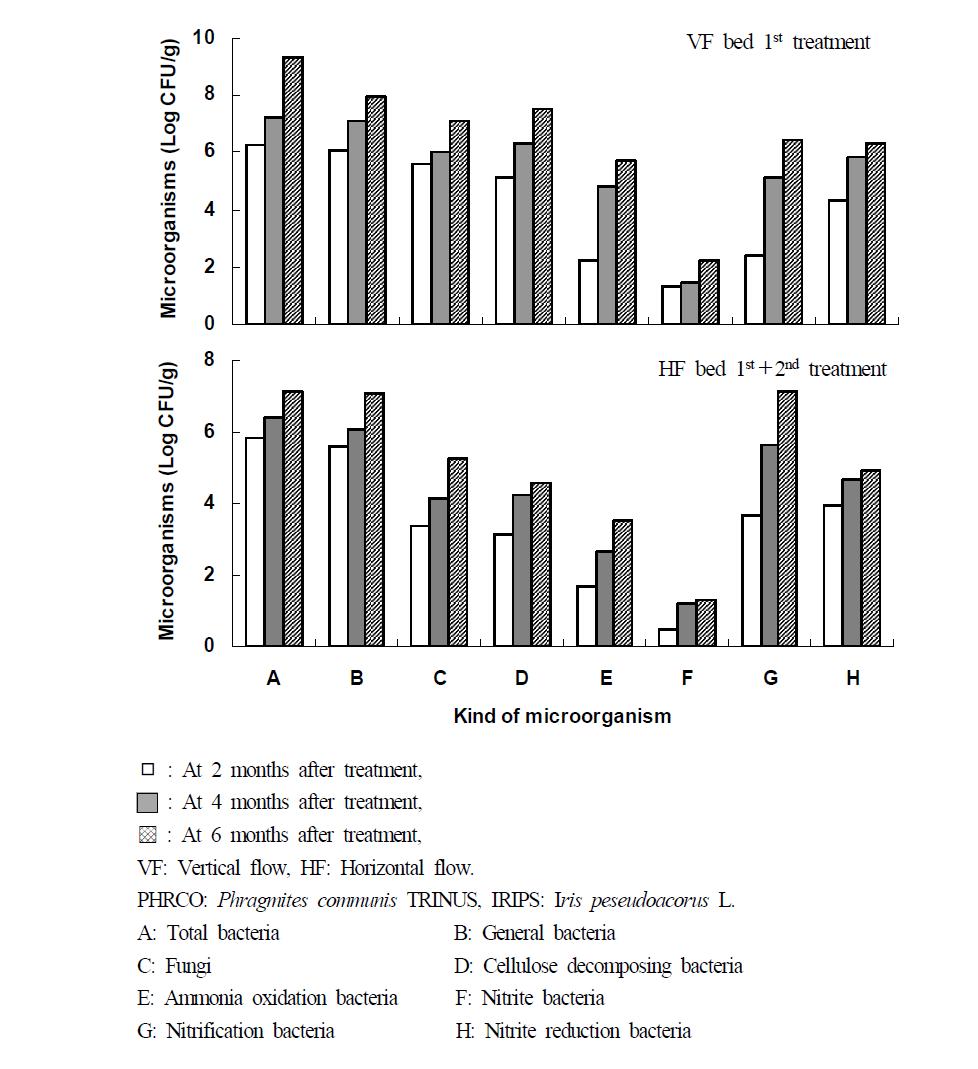 Variation of microorganisms at months after hydroponic wastewater treatment in VF-HF system.