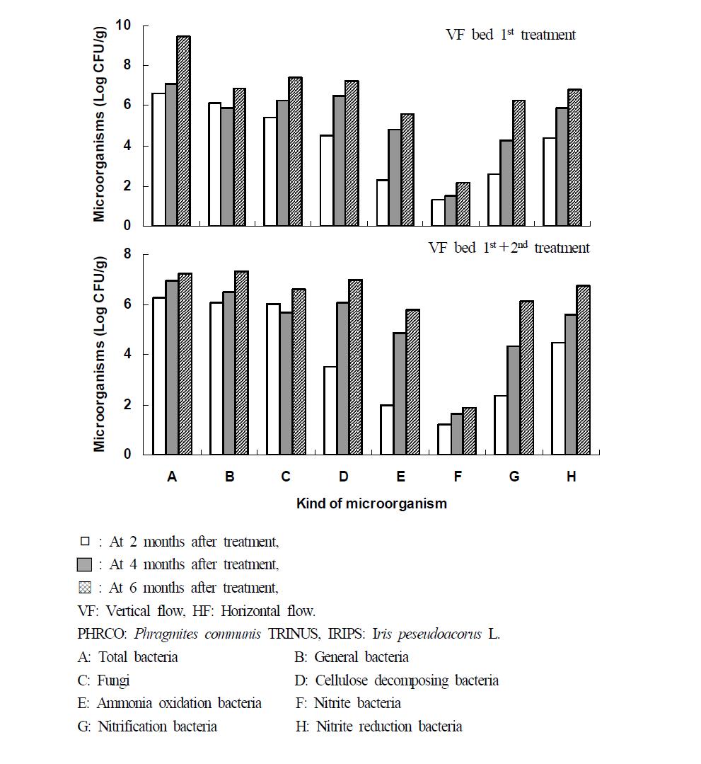 Variation of microorganisms at months after hydroponic wastewater treatment in VF-VF system.