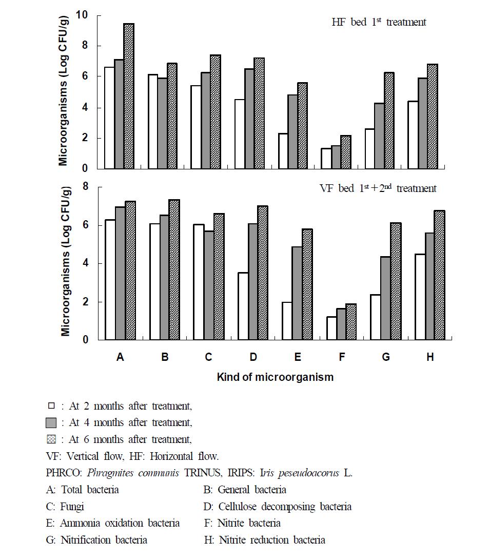 Variation of microorganisms at months after hydroponic wastewater treatment in HF-VF system.