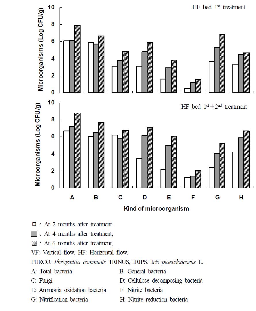 Variation of microorganisms at months after hydroponic wastewater treatment in HF-HF system.