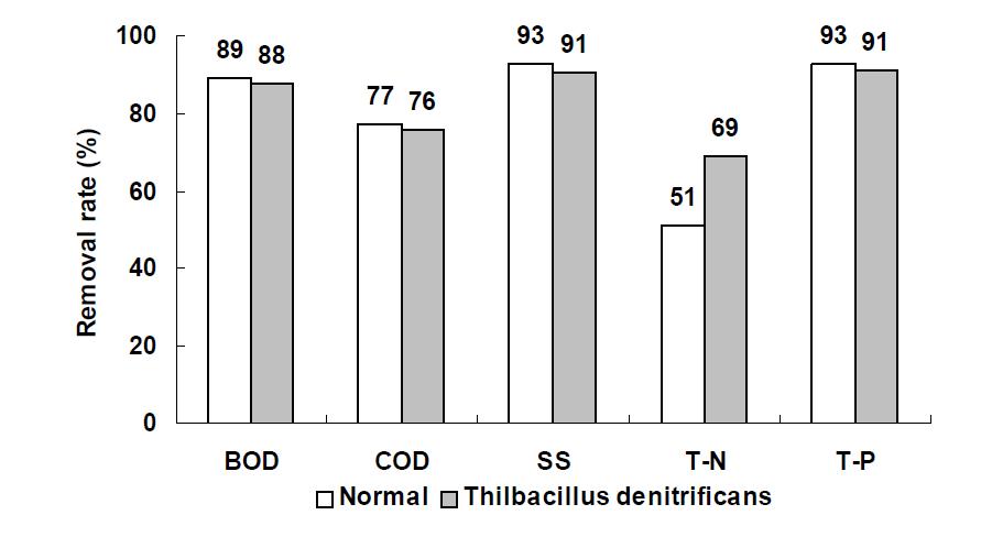 Removal rate of BOD, COD, SS, T-N and T-P in the effluent according to seeding Thiobacillus denitrificans in HF-HF hydroponic wastewater