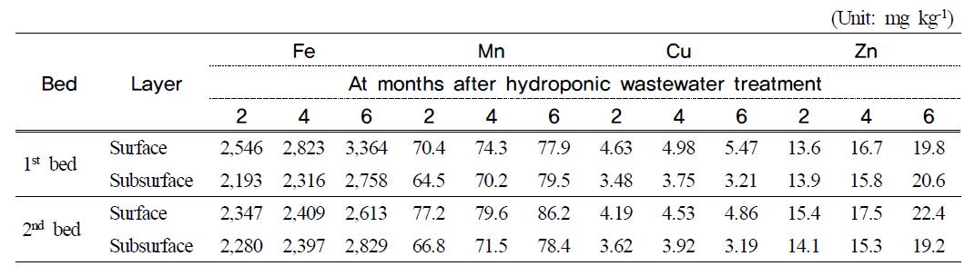 Fe, Mn, Cu and Zn contents in filter media at months after hydroponic wastewater treatment