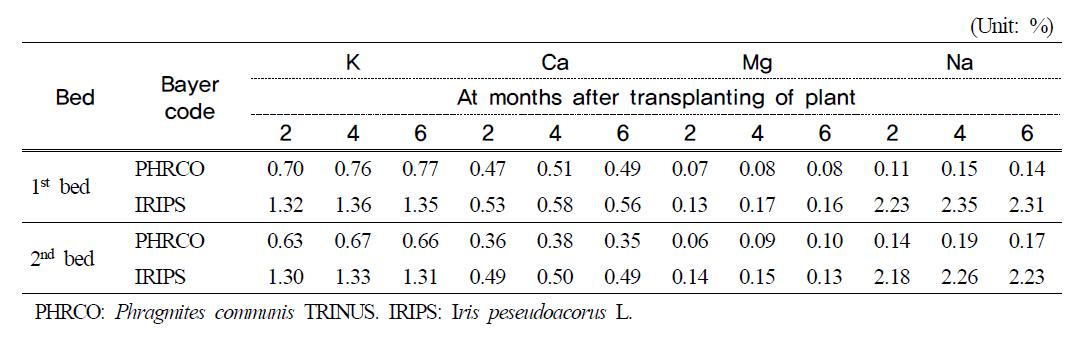 K, Ca, Mg and Na contents in water plants at months after transplanting ofplant in hydroponic wastewater treatment plant