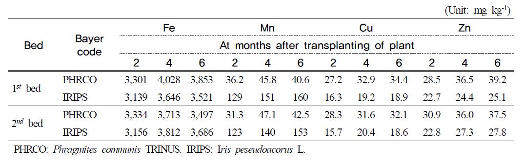 Fe, Mn, Cu and Zn contents in water plants at months after transplanting ofplant in hydroponic wastewater treatment plant