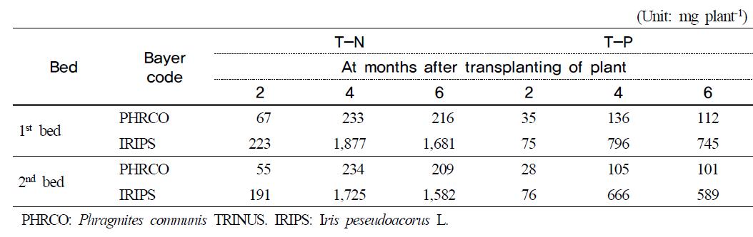 Amount of T-N and T-P absorbed by water plants at months after transplantingof plant in hydroponic wastewater treatment plant