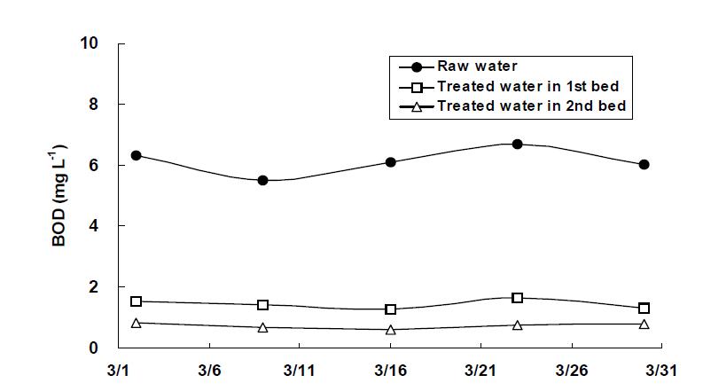 Variation of BOD in the water in HF-HF hydroponic wastewater treatment plant with sulfur oxidizing denitrifying bacteria.