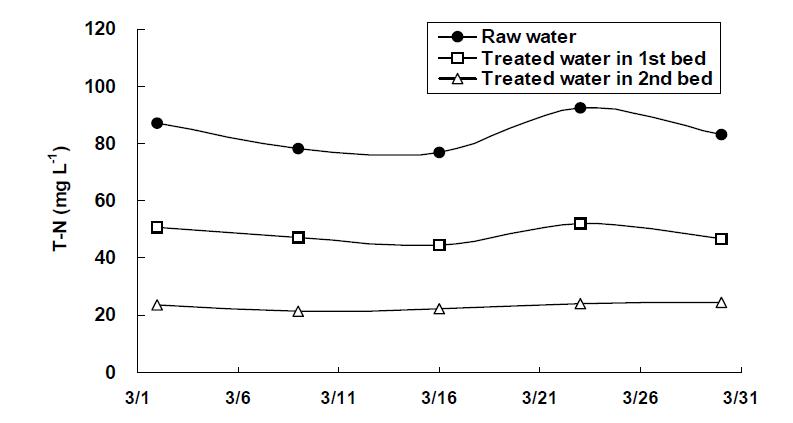 Variation of T-N in the water in HF-HF hydroponic wastewater treatment plant with sulfur oxidizing denitrifying bacteria.