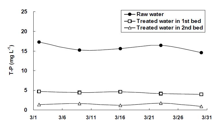 Variation of T-P in the water in HF-HF hydroponic wastewater treatment plant with sulfur oxidizing denitrifying bacteria.