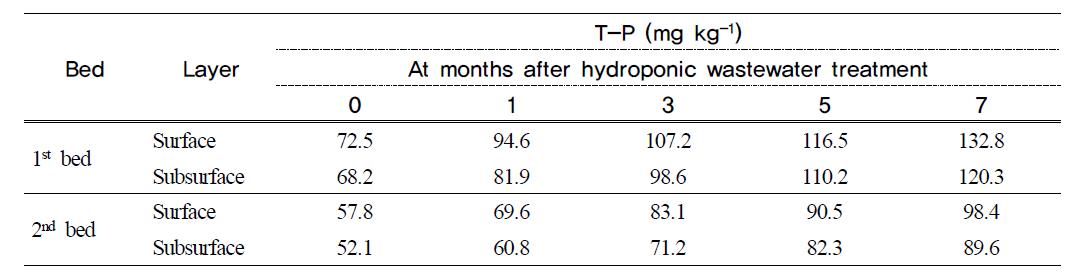 T-P content of filter media at months after hydroponic wastewater treatment in hydroponic wastewater treatment plant