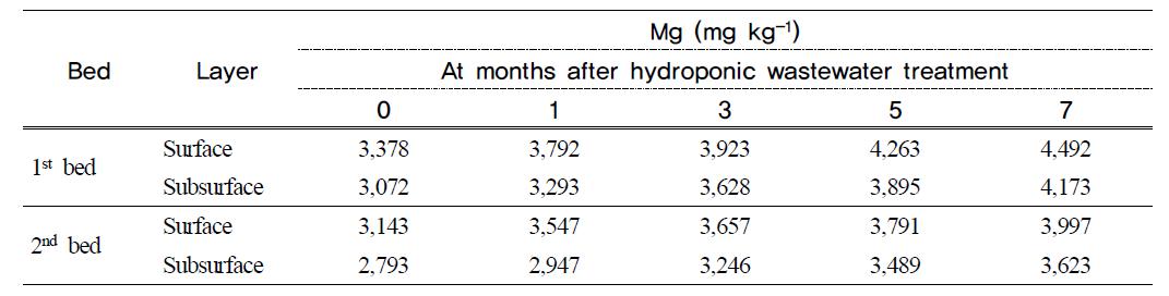 Mg content in filter media at months after hydroponic wastewater treatmentin hydroponic wastewater treatment plant