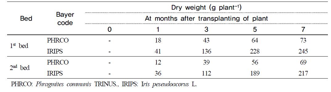 Dry weight of water plants in hydroponic wastewater treatment plant