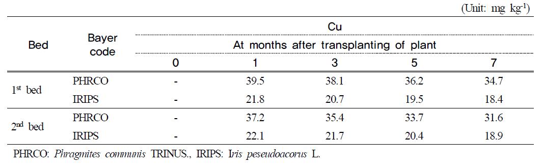 Cu contents in water plants at months after transplanting of plant in hydroponic wastewater treatment plant