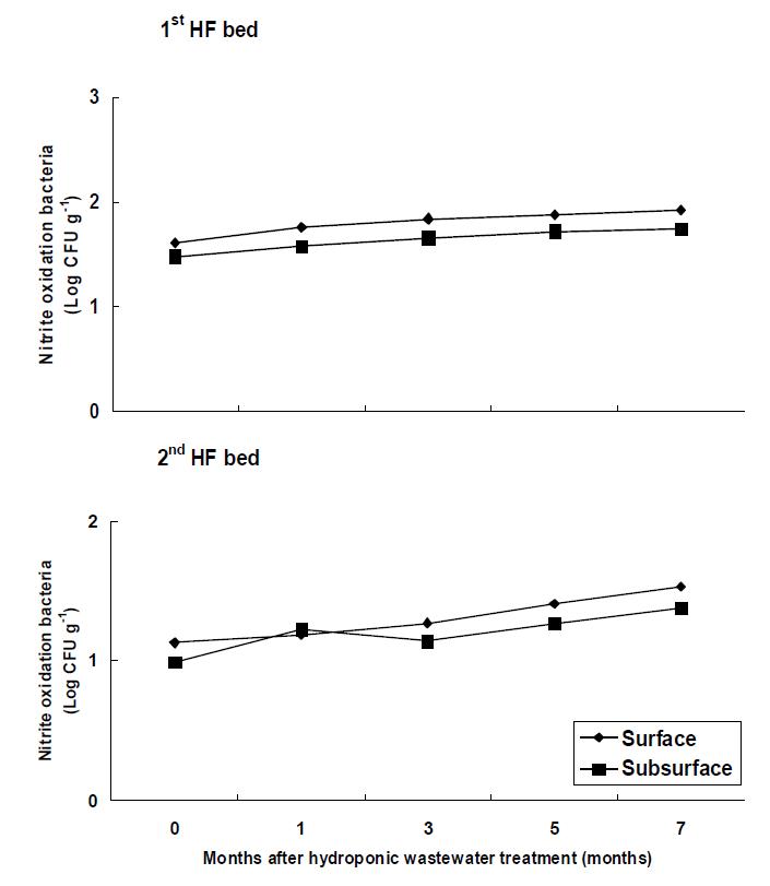 Variation of nitrite oxidation bacteria of filter media at months after hydroponic wastewater treatment in hydroponic wastewater