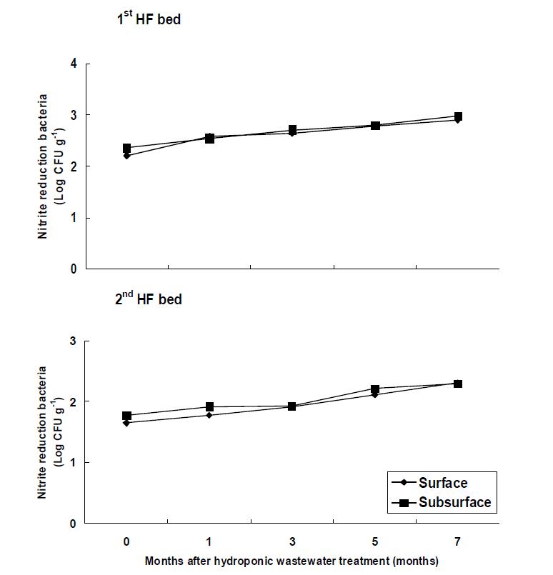 Variation of nitrate reduction bacteria of filter media at months after hydroponic wastewater treatment in hydroponic