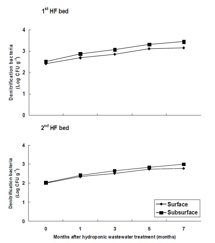 Variation of denitrification bacteria of filter media at months after hydroponic wastewater treatment in hydroponic wastewater