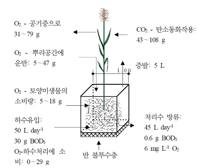 Treatment capacity of 1 m2 root space for a day