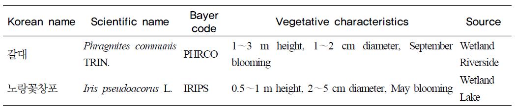 Characteristics of the water plants used in small-scale hydroponic wastewatertreatment apparatus