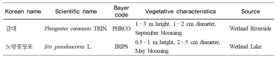 Characteristics of the water plants used in the hydroponic wastewater treatment apparatus