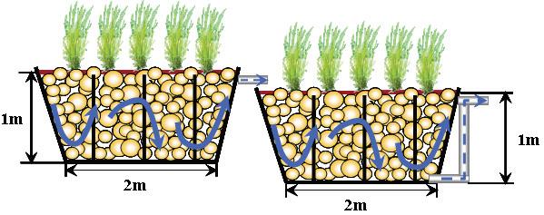 Diagrams of hydroponic wastewater treatment plant.