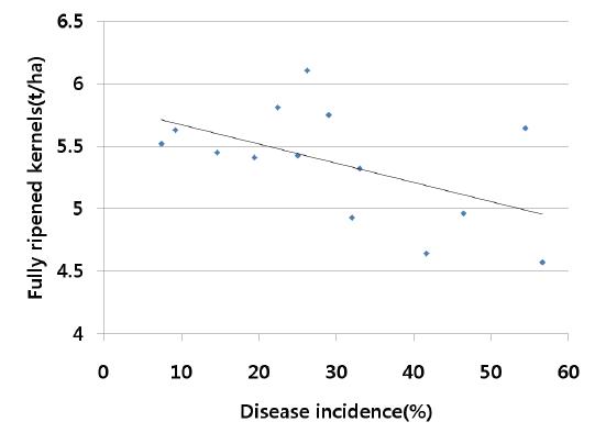 잎집무늬마름병 발생 피해도와 수량 관계.