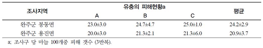 완주군 일대 마늘밭을 가해하는 유충의 피해 현황