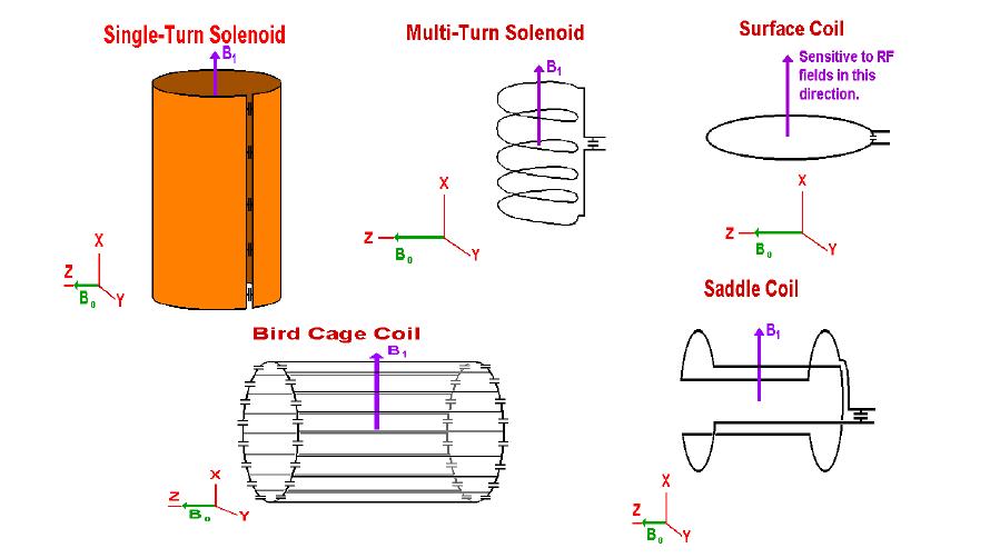 Various types of RF coils.