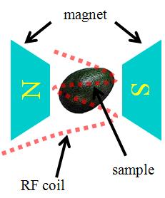 Schematic diagram of magnetic resonance sensor.