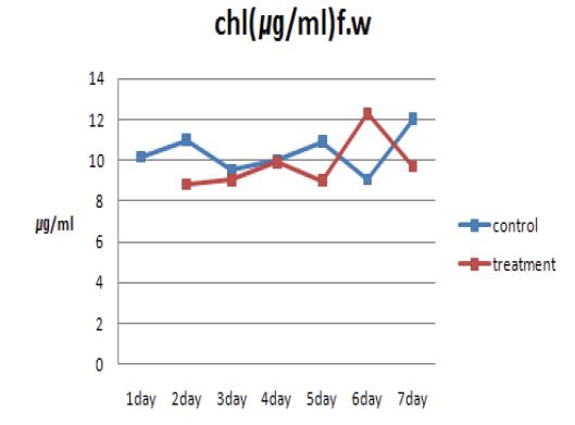 Changing in total chlorophyll of tomato.