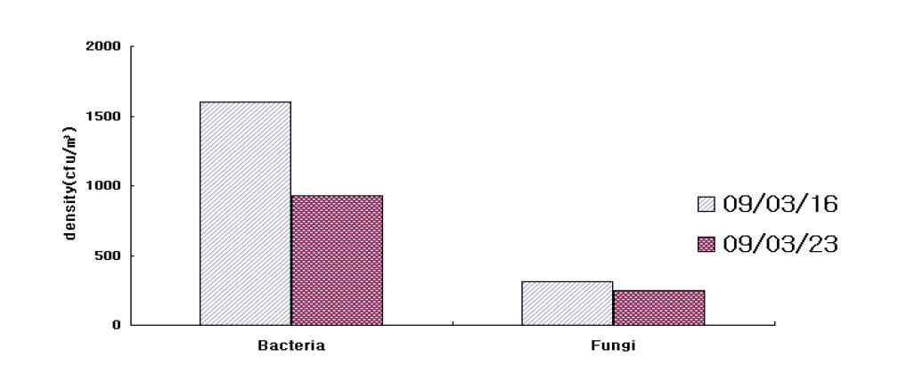 Density of bacteria and fungi.