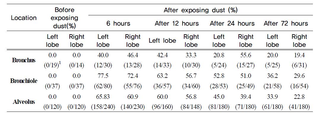 Yellow sand deposit percentage in lower air way