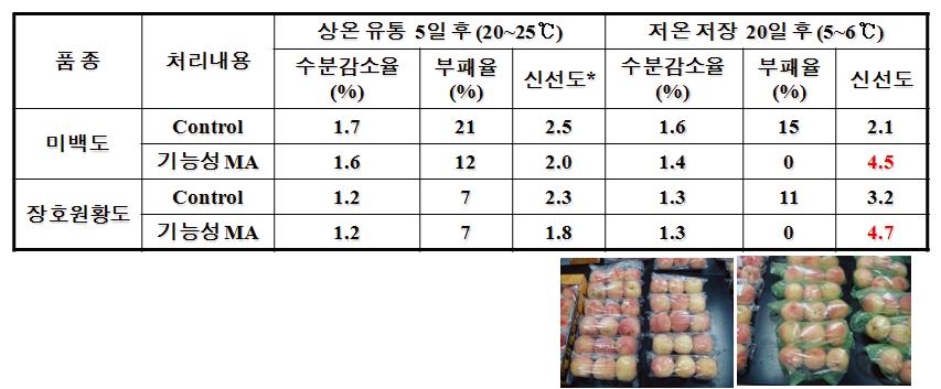 복숭아 기능성 MA 처리후 선도유지 효과