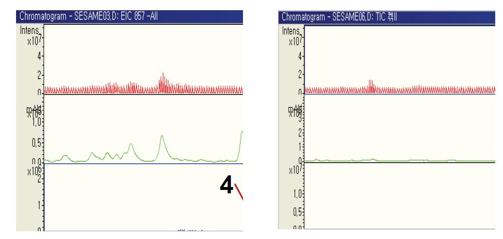 안산깨와 검은깨 추출물의 LC-MS 크로마토그램.