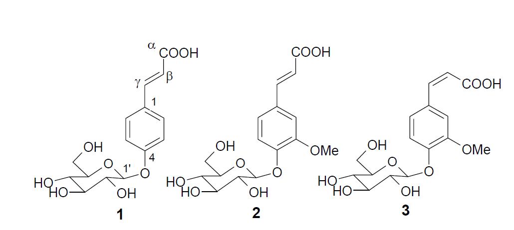 안산깨에서 분리된 phenylpropanoid 배당체의 구조.