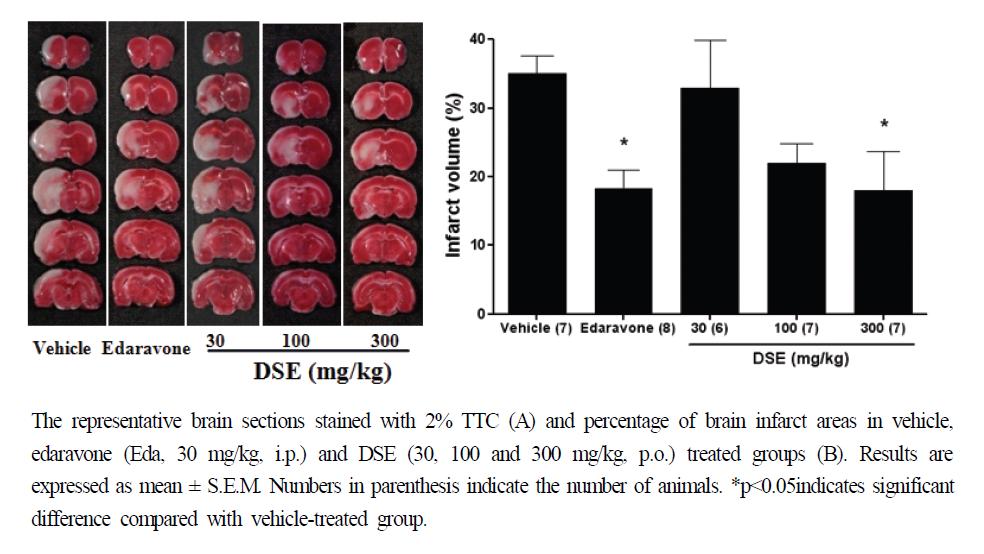 참깨 표준 추출물 (DSE)의 in vivo 중풍 모델에 대한 신경보호효과.
