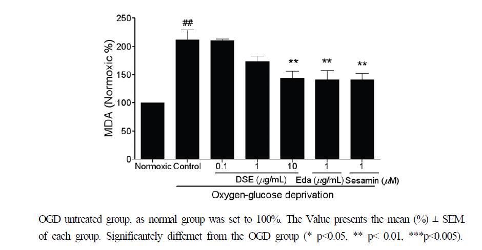 참깨 추출물의 OGD로 유발된 in vitro 중풍 모델에서 지질 과산화 반응 억제 효과.