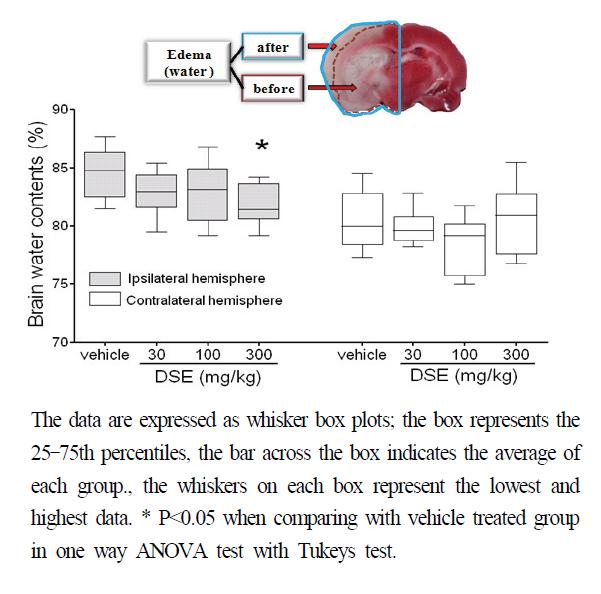 참깨 추출물의 in vivo 중풍 모델에서 중풍 후 brain water contents에 대한 효과.