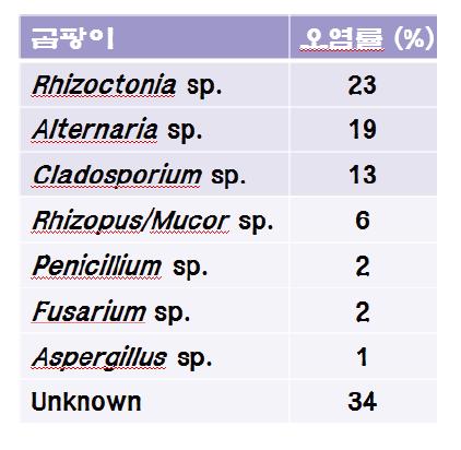 적채의 곰팡이 오염실태