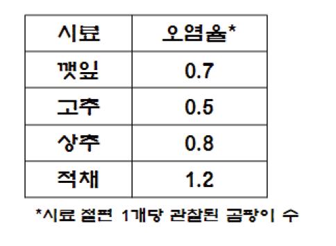 시료 절편 당 오염율