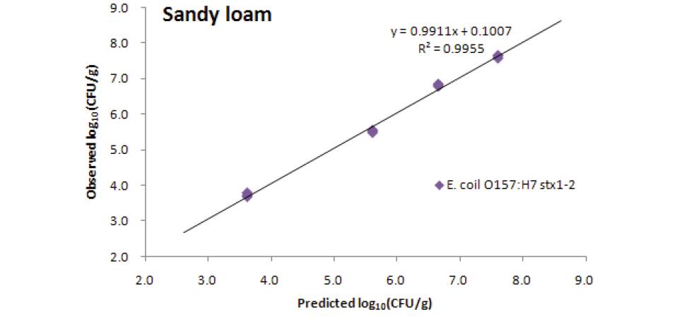 Comparison of E. coli O157:H7 △stx1-2 counts in sandy loam soil with those levels predicted by counts in the inocula.